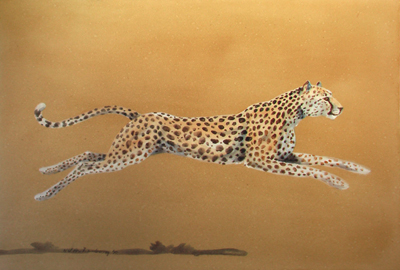 Bild Laufender Gepard von Uli Aschenborn